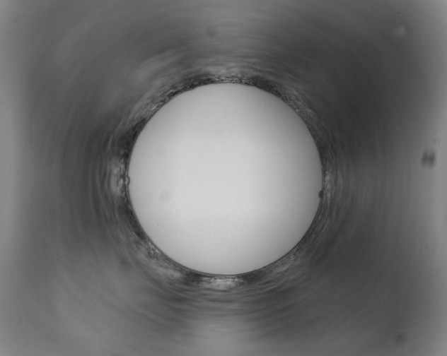X0000111610671200907171041