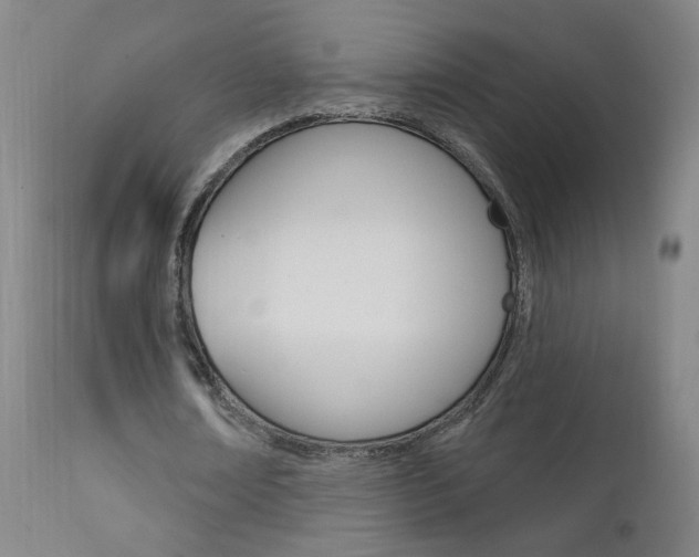 X0000111610674200907171040