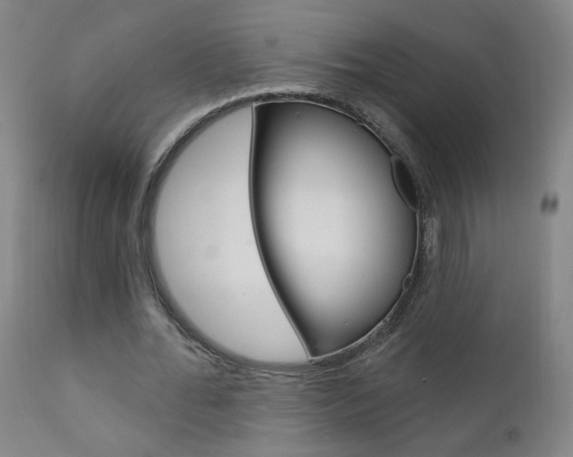 X0000111610676200907171040