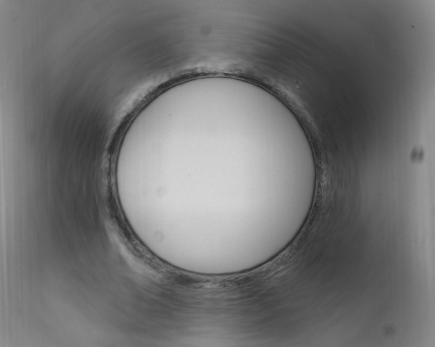 X0000111610678200907171040