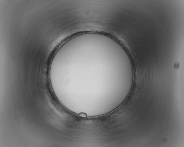 X0000111610679200907171040