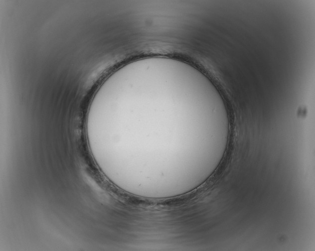 X0000111610683200907171040