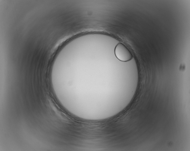 X0000111610684200907171040