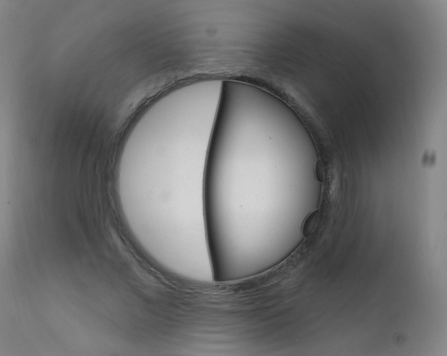 X0000111610685200907171040