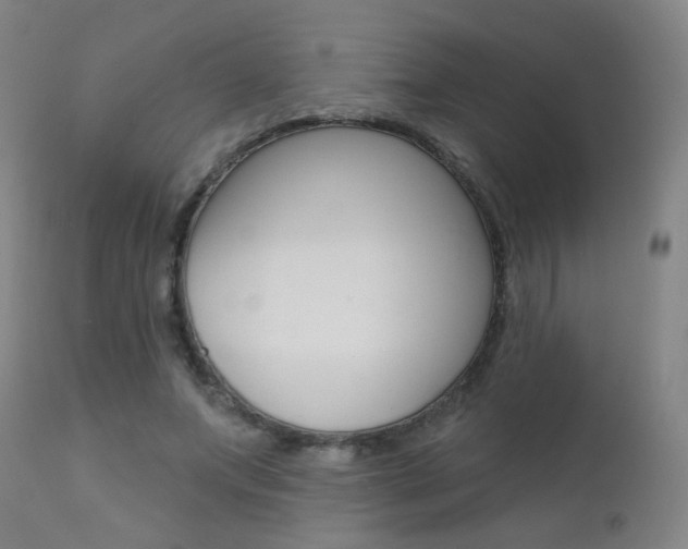 X0000111610687200907171040