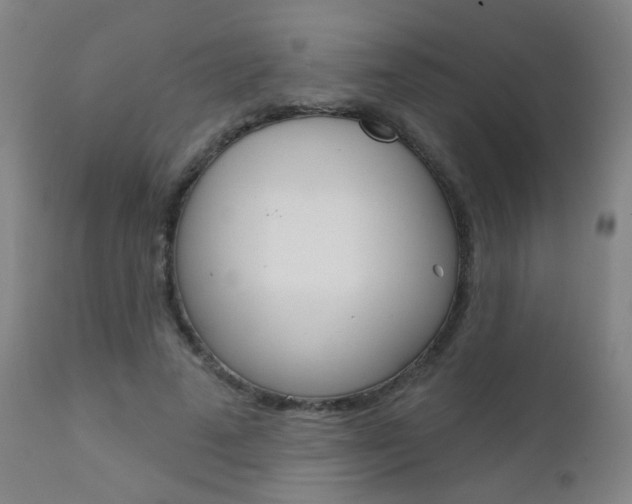 X0000111610689200907171040
