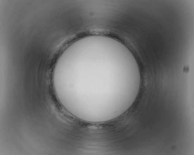 X0000111610690200907171040