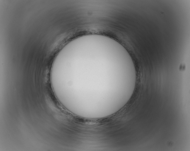X0000111610694200907171040