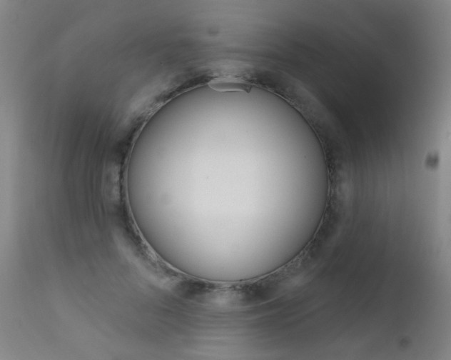 X0000111610696200907171040