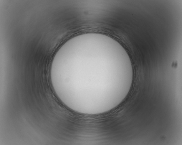 X0000111610697200907171040
