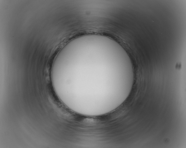 X0000111610699200907171040