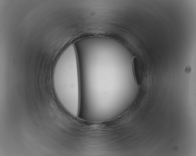 X0000111610700200907171040