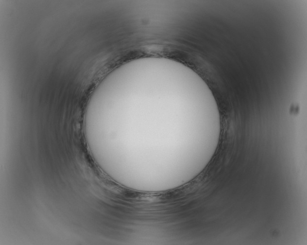 X0000111610702200907171040