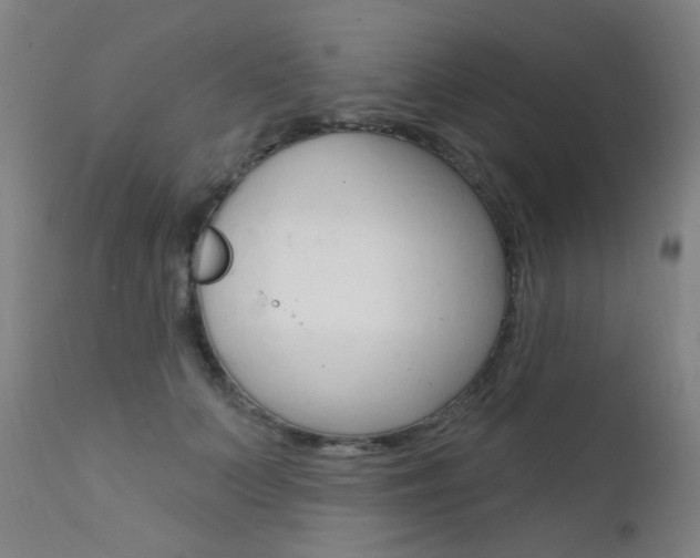 X0000111610703200907171040