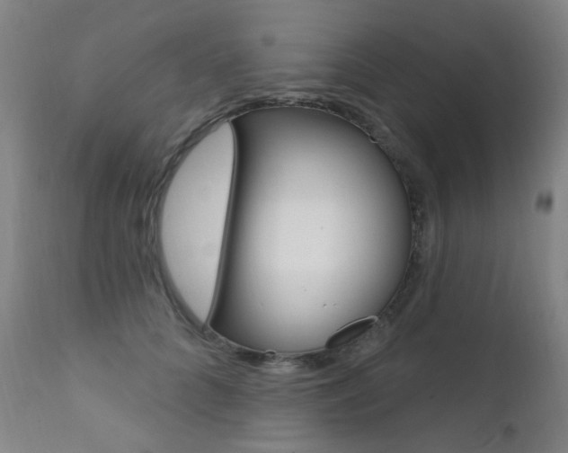 X0000111610704200907171040