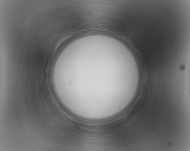 X0000111610705200907171040