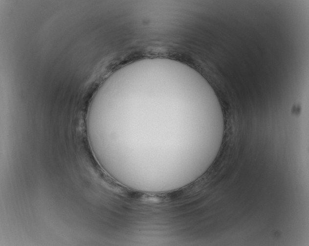 X0000111610706200907171040