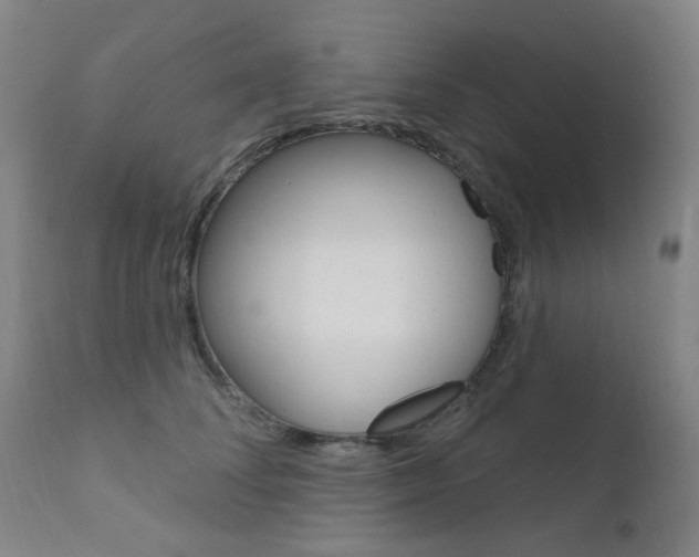 X0000111610708200907171040