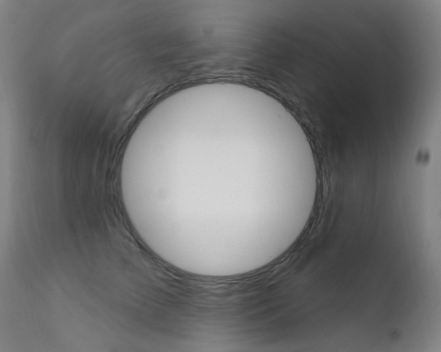 X0000111610709200907171040