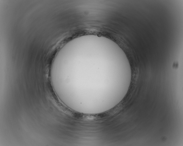 X0000111610710200907171040