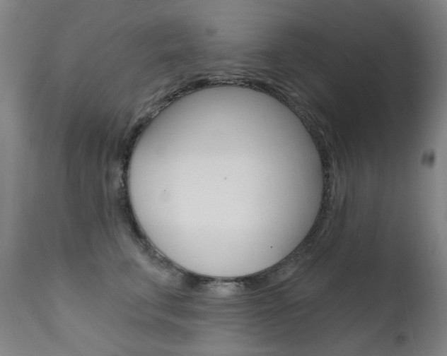 X0000111610711200907171040
