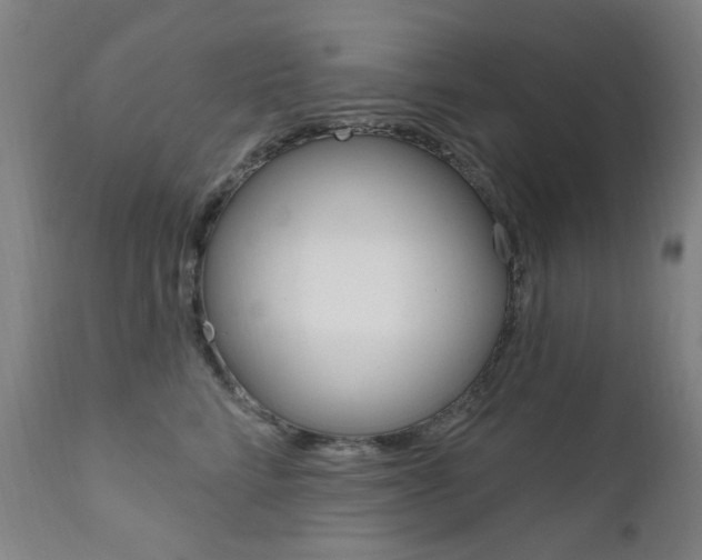 X0000111610712200907171040