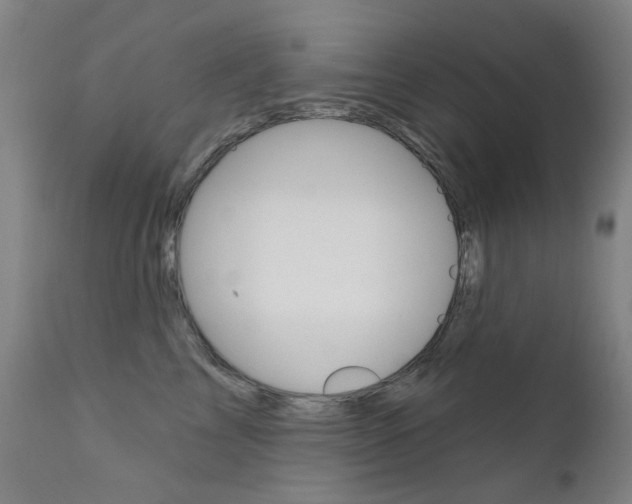 X0000111610713200907171040