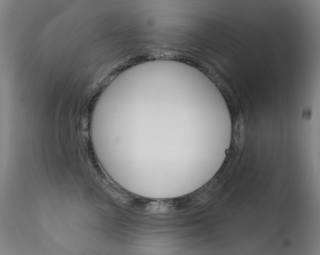 X0000111610714200907171040