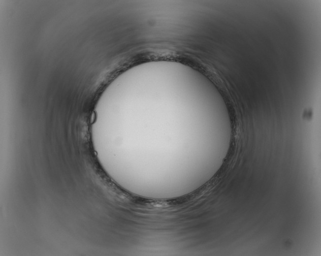 X0000111610715200907171040