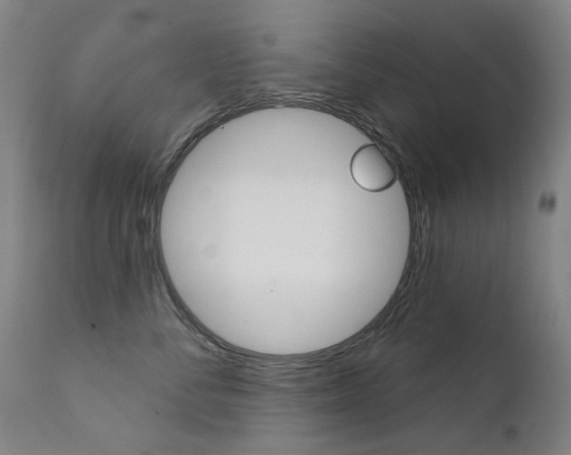 X0000111610716200907171040