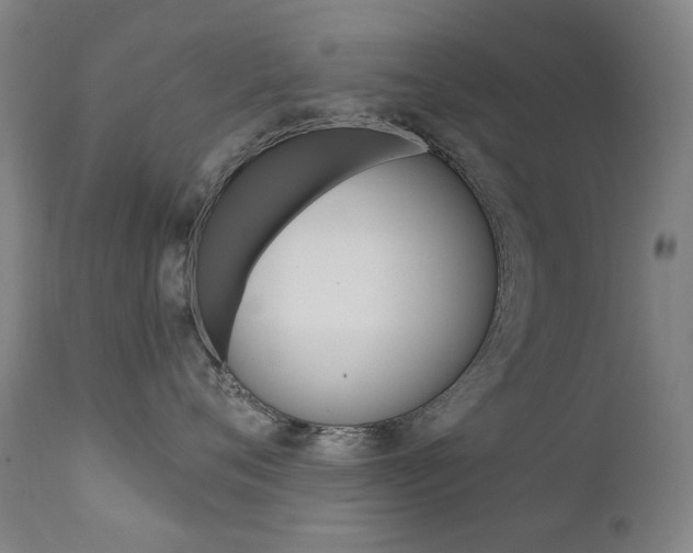 X0000111610720200907171040