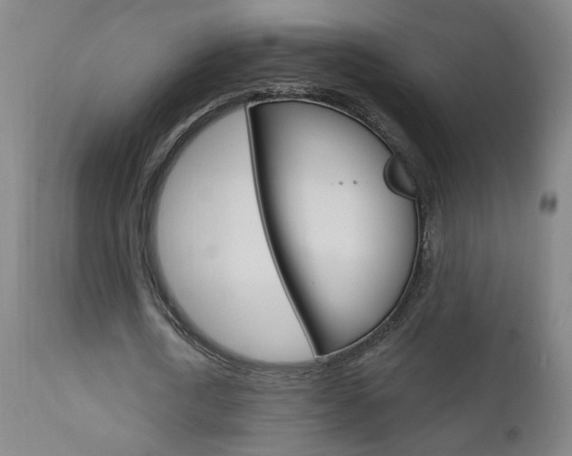 X0000111610722200907171039