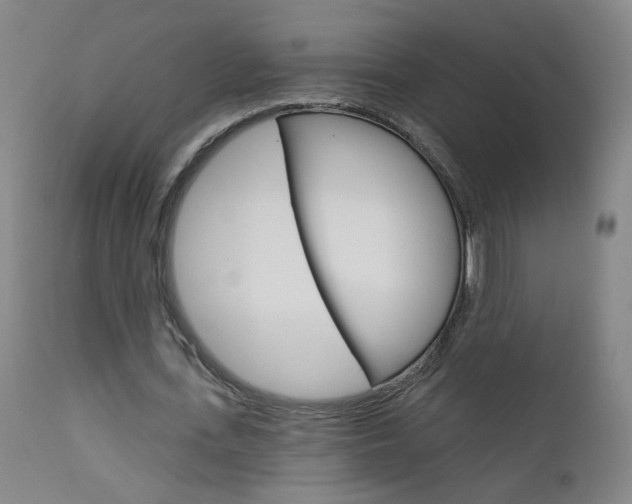 X0000111610723200907171039