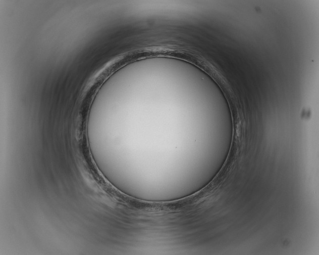 X0000111610724200907171039
