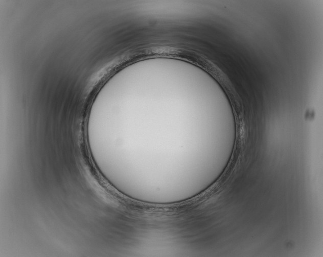 X0000111610725200907171039