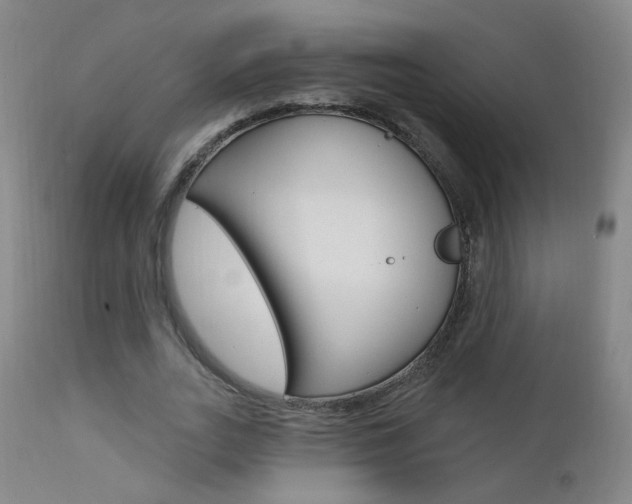 X0000111610727200907171039