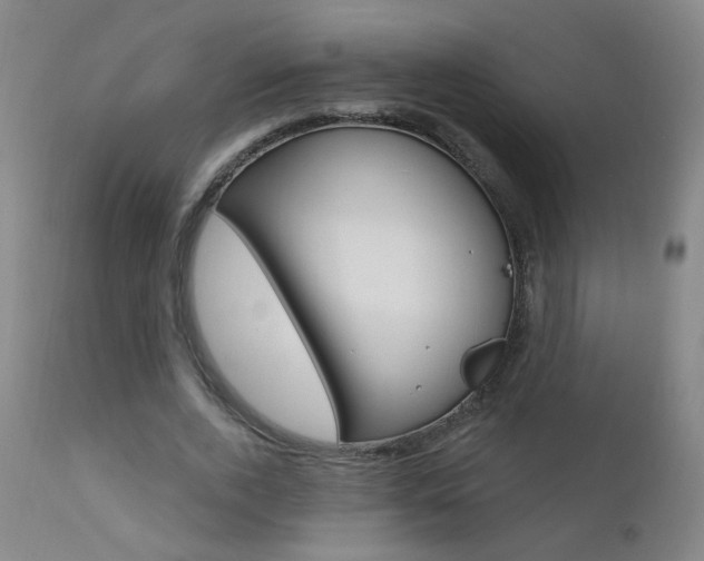 X0000111610728200907171039
