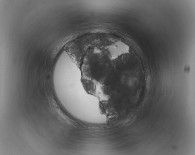 X0000111610729200907171039
