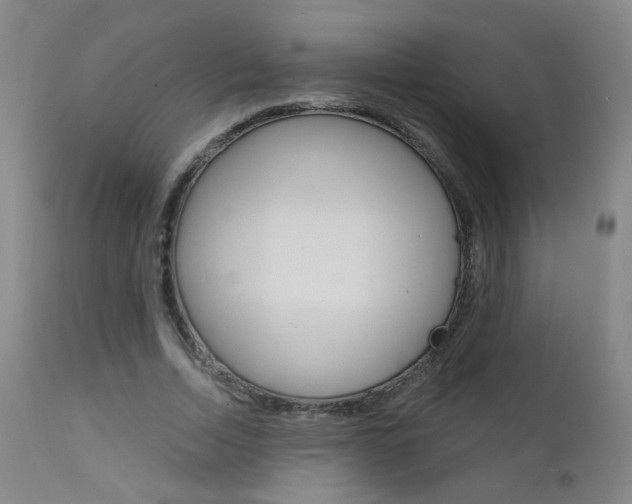 X0000111610730200907171039