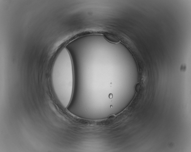 X0000111610732200907171039