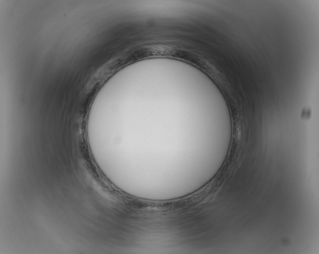 X0000111610733200907171039