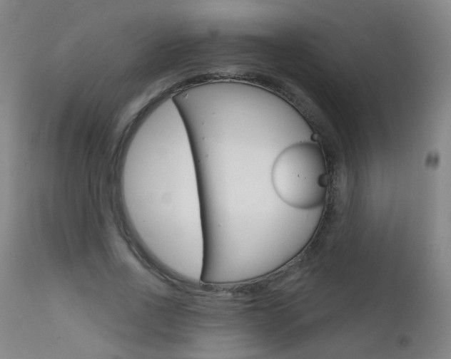 X0000111610734200907171039