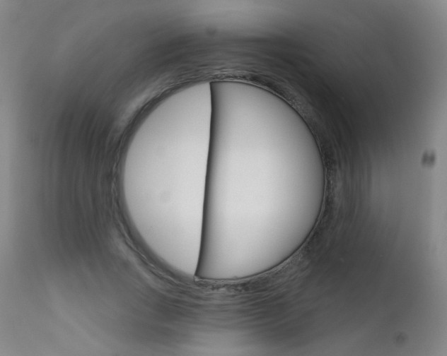 X0000111610735200907171039