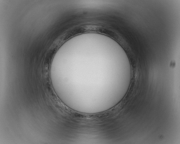 X0000111610737200907171039