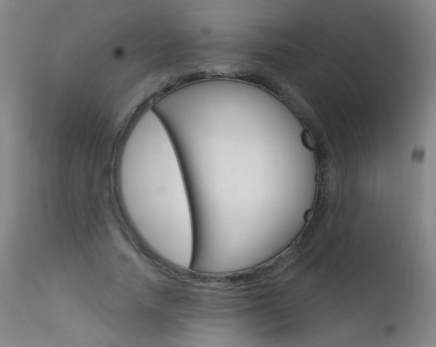 X0000111610738200907171039