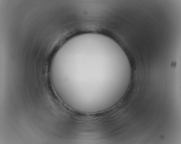 X0000111610739200907171039