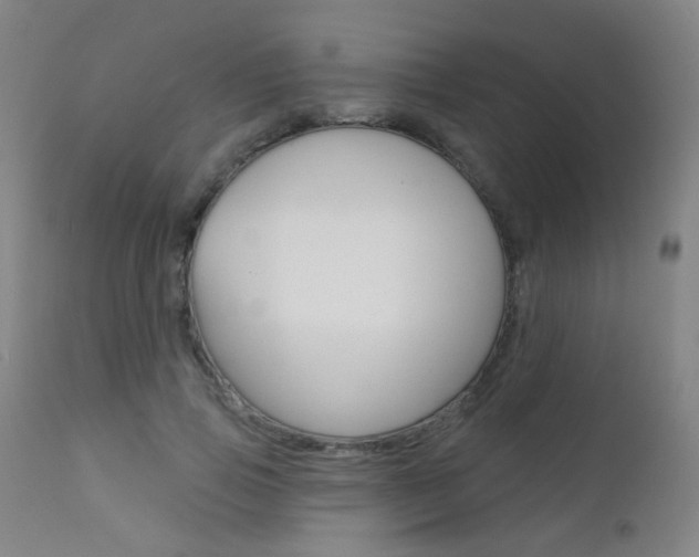 X0000111610741200907171039