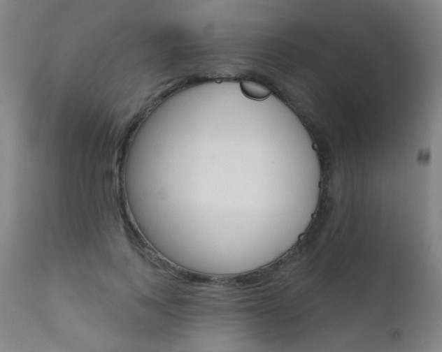 X0000111610743200907171039