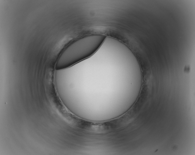 X0000111610744200907171039