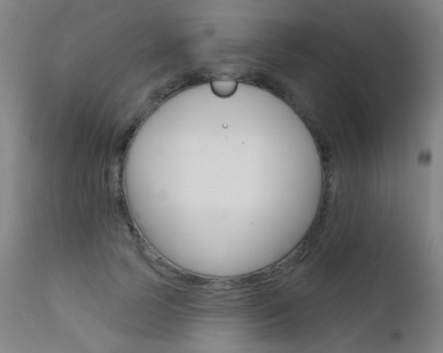 X0000111610745200907171039